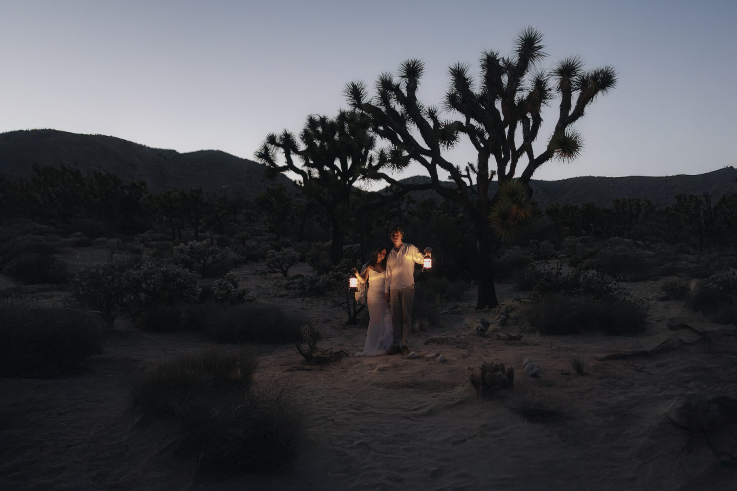 Joshua tree Elopement